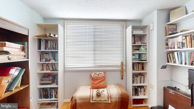 living area featuring a textured ceiling