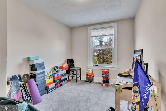 recreation room with carpet flooring and a textured ceiling