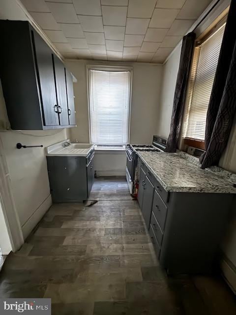 kitchen with gray cabinetry, stainless steel range oven, sink, and dark hardwood / wood-style floors