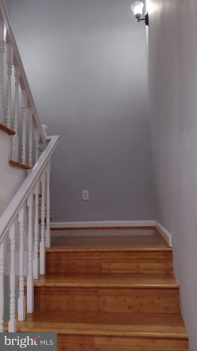 stairs with hardwood / wood-style floors