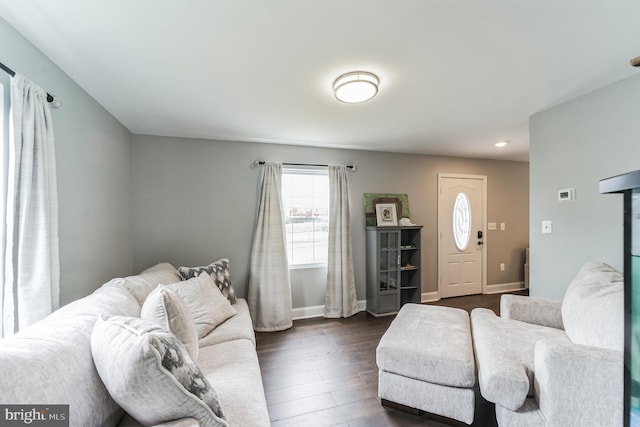 living room with dark hardwood / wood-style flooring