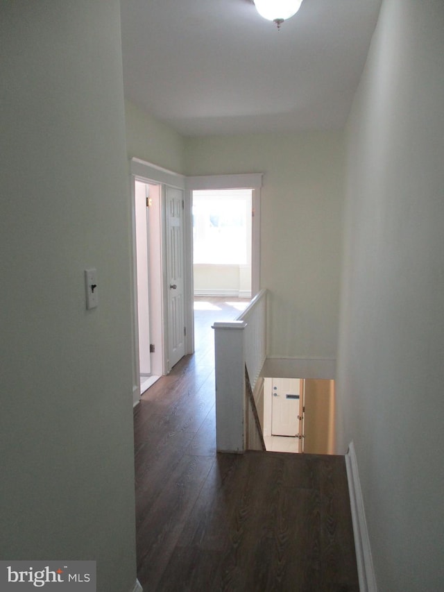 hallway with dark wood-type flooring