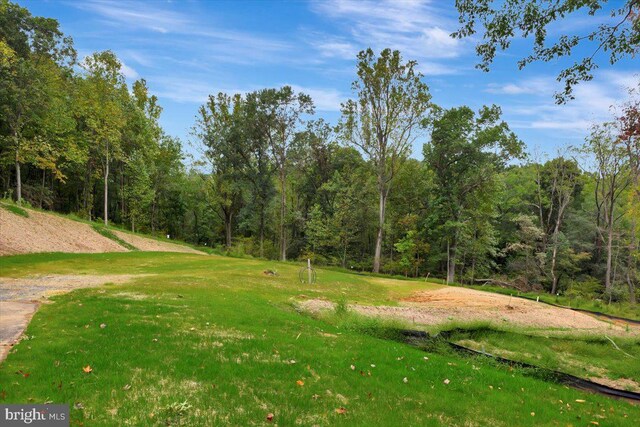 LOT1 Snowdens Run Rd, Eldersburg, MD 21784 - view of home's community with a lawn and a forest view
