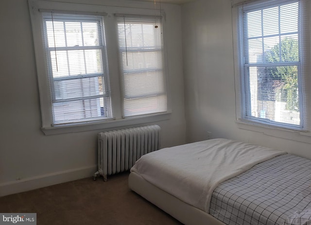 carpeted bedroom with multiple windows and radiator