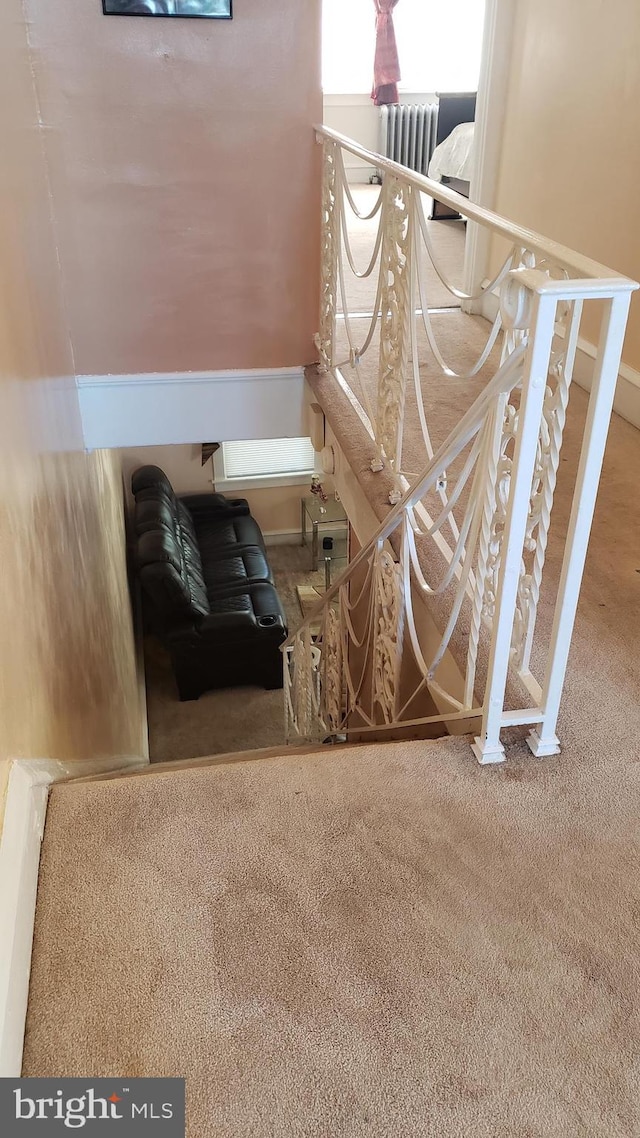 stairs with carpet floors