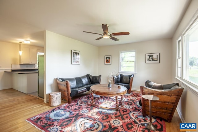 living room with ceiling fan and light wood-type flooring