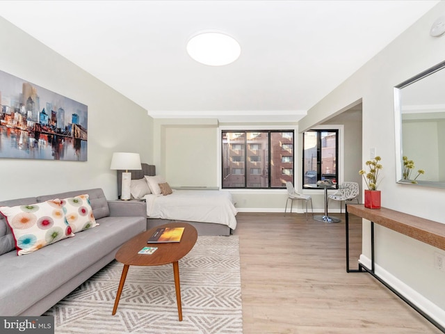 bedroom featuring light hardwood / wood-style floors