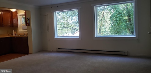 interior space featuring a baseboard radiator, plenty of natural light, and carpet