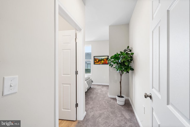 hall featuring light colored carpet