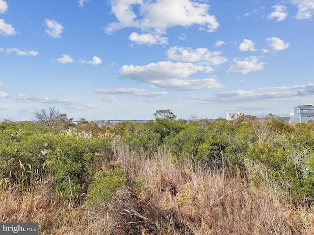 view of landscape