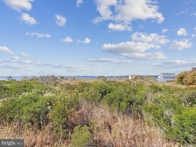 view of landscape featuring a water view