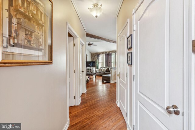 hallway featuring crown molding and hardwood / wood-style floors