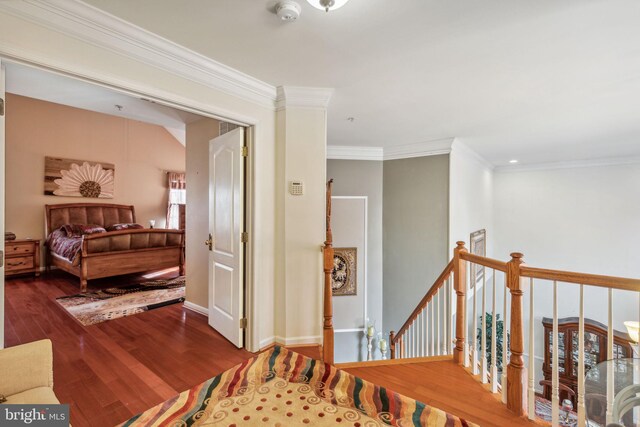 hallway featuring crown molding and wood-type flooring