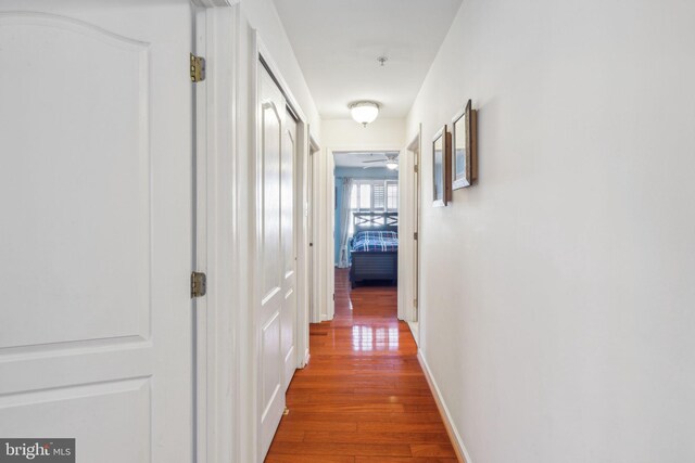 corridor featuring hardwood / wood-style flooring