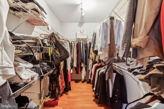 spacious closet with hardwood / wood-style floors