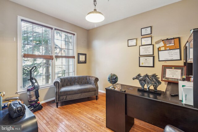 office with light hardwood / wood-style flooring