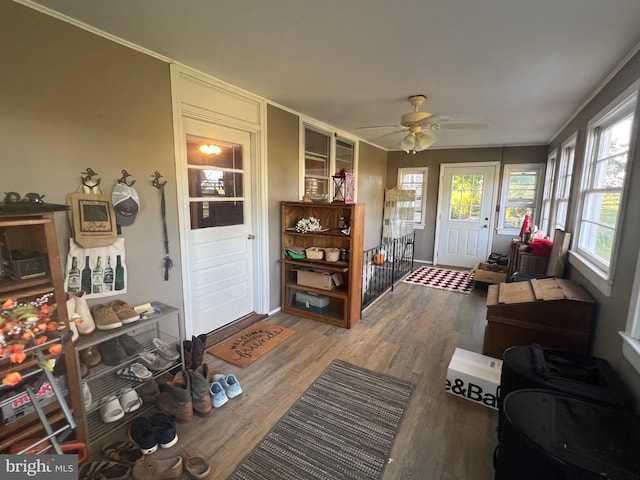 interior space featuring hardwood / wood-style flooring, a healthy amount of sunlight, and ceiling fan