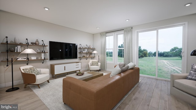 living room featuring light hardwood / wood-style floors