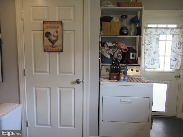 clothes washing area with dark wood-type flooring