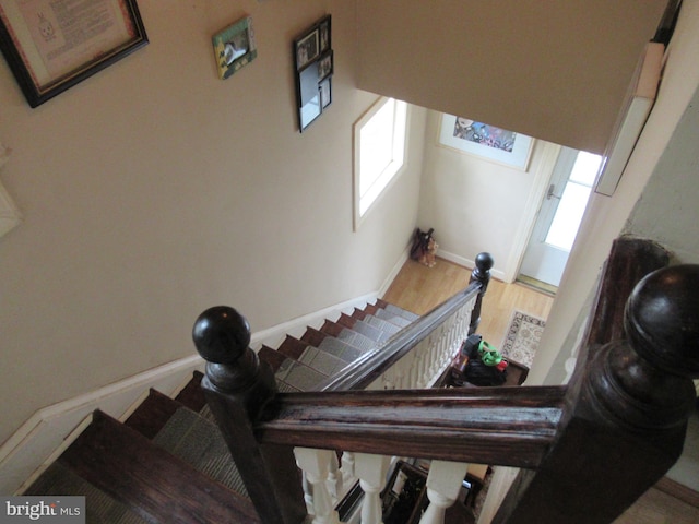 staircase featuring wood-type flooring