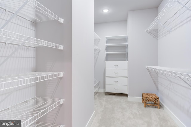 spacious closet with light carpet