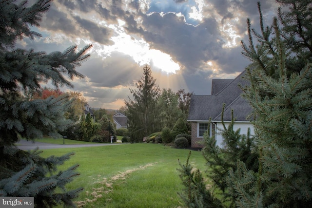 view of yard at dusk