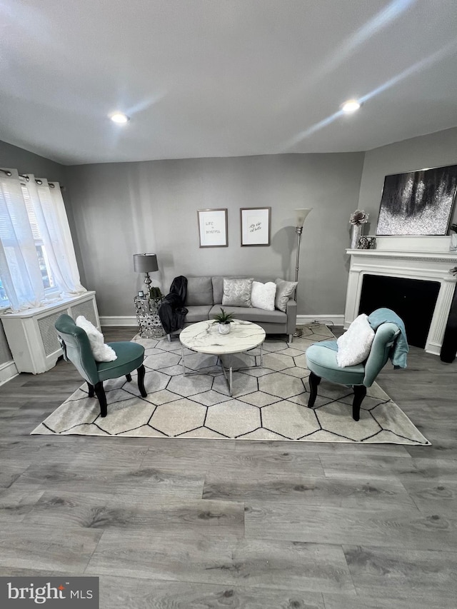 living room featuring wood-type flooring