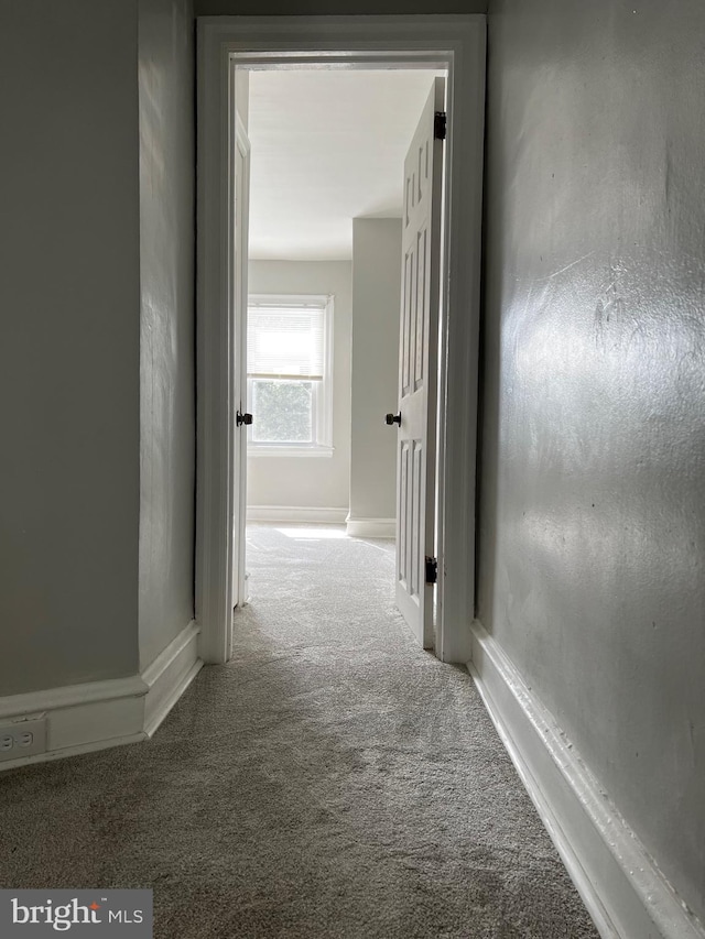 corridor with carpet flooring