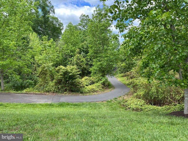 79 Table Bluff Dr, Fredericksburg, VA 22406 - view of road