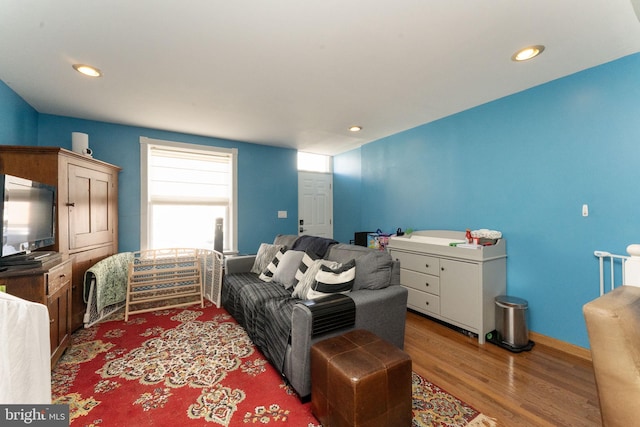 living room with hardwood / wood-style flooring