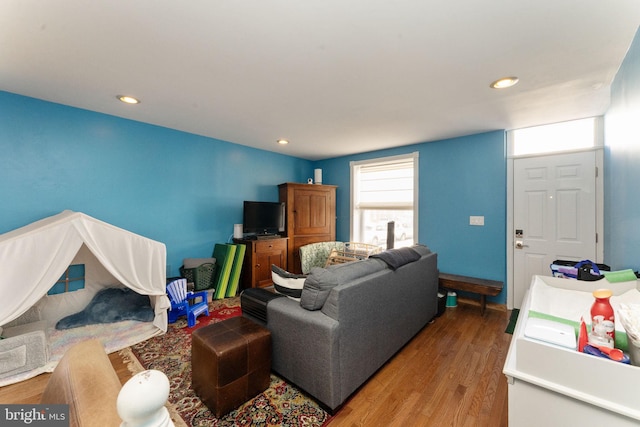 living room featuring hardwood / wood-style floors