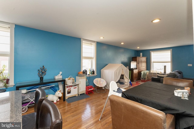 bedroom featuring multiple windows and hardwood / wood-style flooring