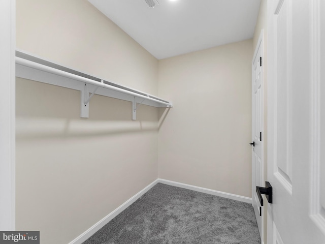 spacious closet with carpet floors