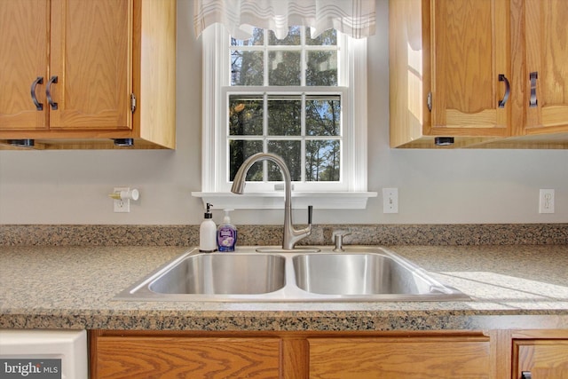 kitchen with a healthy amount of sunlight and sink