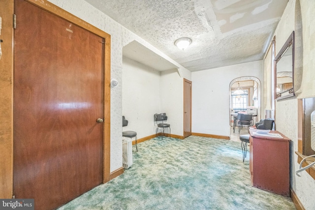 interior space with light carpet and a textured ceiling