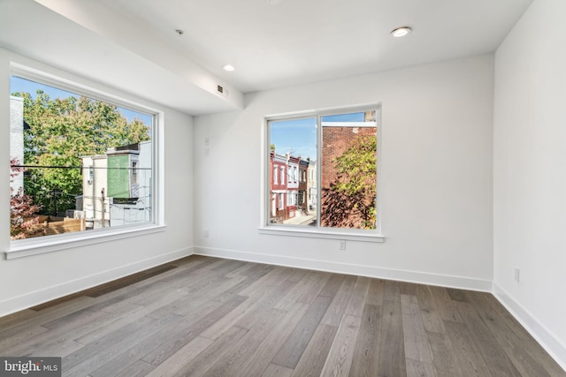 empty room featuring wood-type flooring