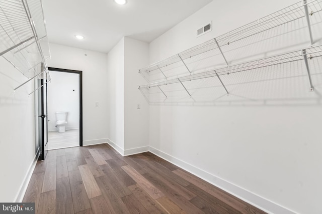 spacious closet featuring dark wood-type flooring