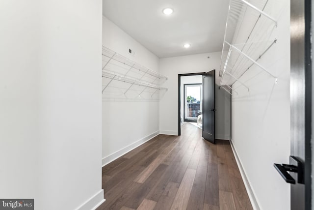 walk in closet featuring dark hardwood / wood-style floors