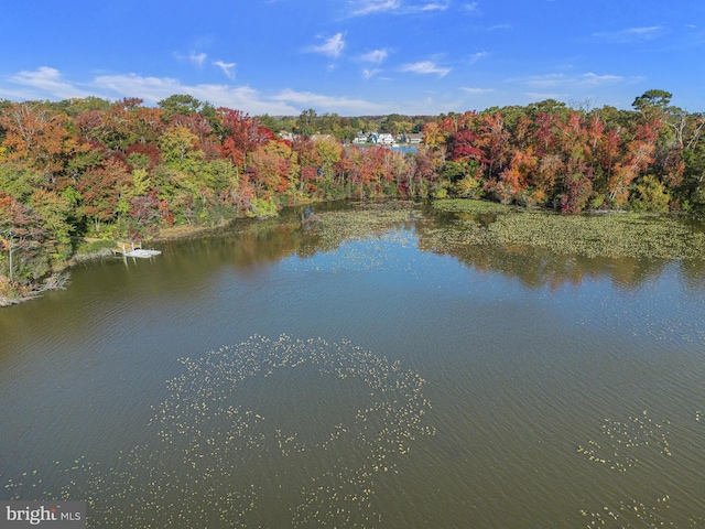 property view of water