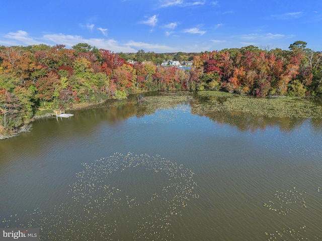 water view with a wooded view