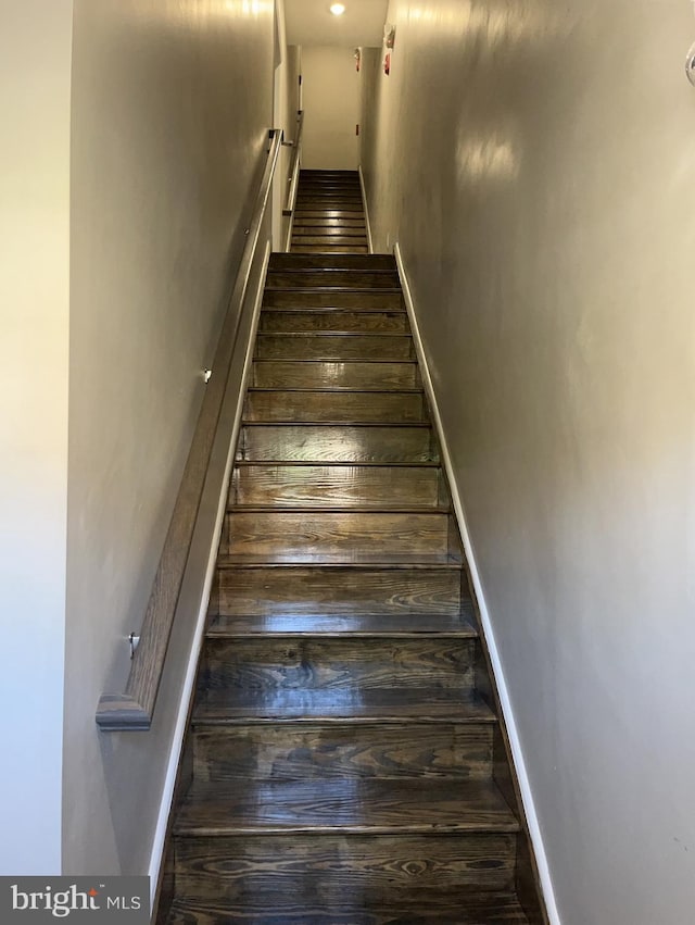 stairway with wood-type flooring