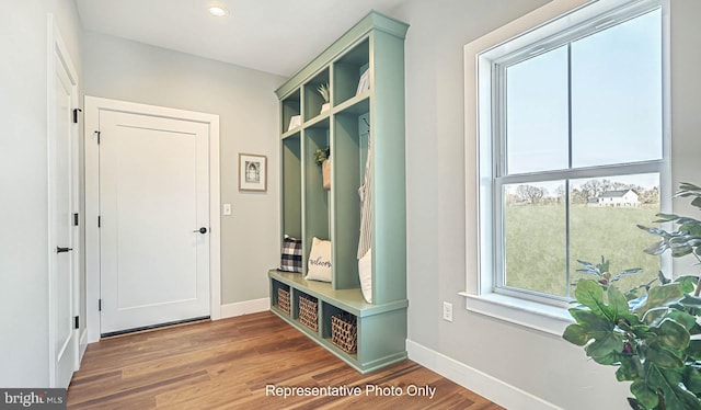 mudroom featuring dark hardwood / wood-style flooring