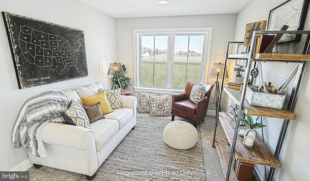 living room with carpet