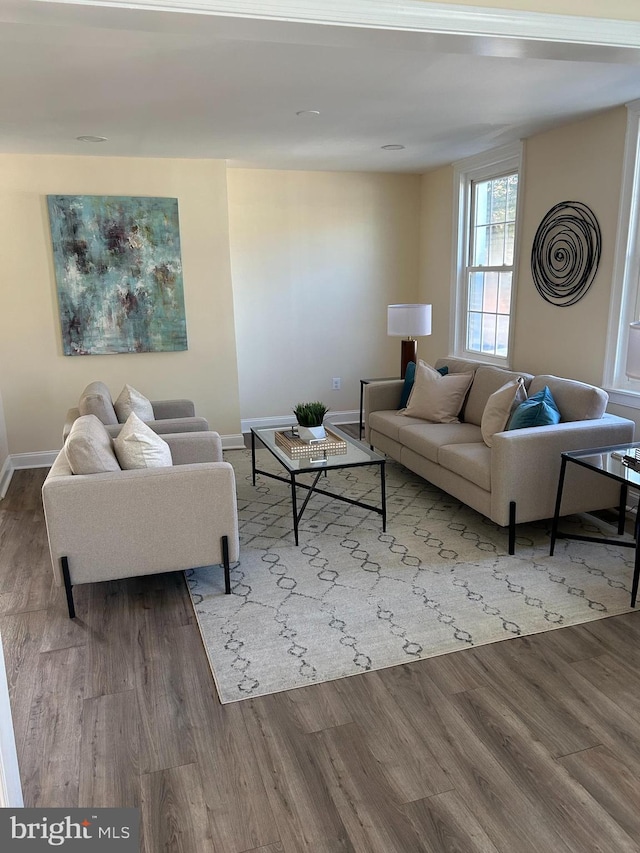 living room featuring hardwood / wood-style floors