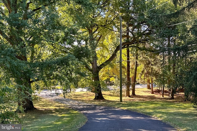 view of property's community