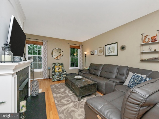 living room with light wood-type flooring