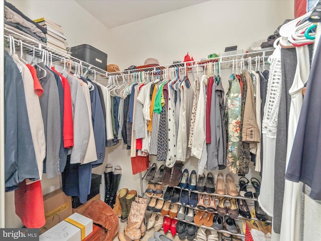 view of walk in closet