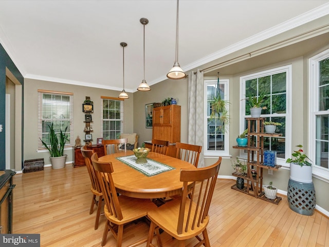 dining area featuring light wood-type flooring, plenty of natural light, and ornamental molding