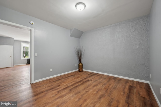 empty room featuring wood-type flooring