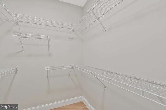 walk in closet featuring wood-type flooring